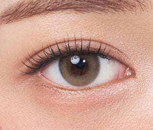 アーティオリーブブラウン 10枚入 — Arti Olive Brown (10p) - Idol Karakon