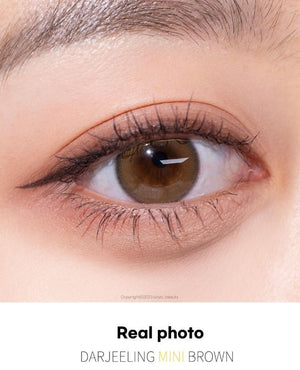 ダズリングミニブラウン — Dazzling Mini Brown - Idol Karakon