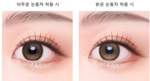 グローブラウンワンデー 10枚入 — Glow Brown 1Day (10p) - Idol Karakon