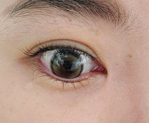 メロウポージーブラウン — Mellow Posey Brown - Idol Karakon