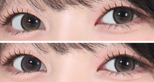 シルビアブラウン 1枚入 — Sylvia Brown - Idol Karakon