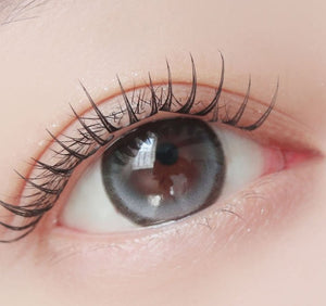 シルビアグレー 1枚入 — Sylvia Gray - Idol Karakon