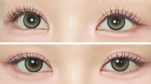 シルビアグリーンワンデー 10枚入 — Sylvia Green (10p) - Idol Karakon