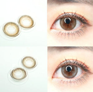 ウィンディブラウンワンデー 10枚入 — Windy Brown (10p) - Idol Karakon