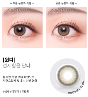 ウィンディブラウンワンデー 10枚入 — Windy Brown (10p) - Idol Karakon