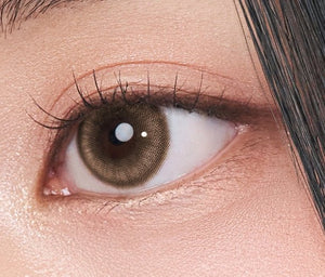 ウィンディブラウンワンデー 10枚入 — Windy Brown (10p) - Idol Karakon