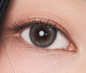 ウィンディグレーワンデー 10枚入 — Windy Gray (10p) - Idol Karakon