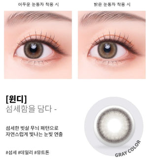 ウィンディグレーワンデー 10枚入 — Windy Gray (10p) - Idol Karakon