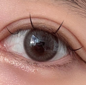 ウィンディグレーワンデー 10枚入 — Windy Gray (10p) - Idol Karakon