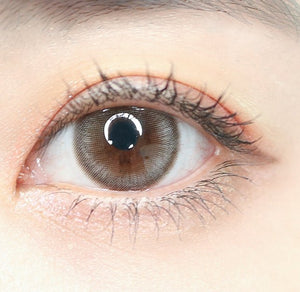 ウィンディグレーワンデー 10枚入 — Windy Gray (10p) - Idol Karakon