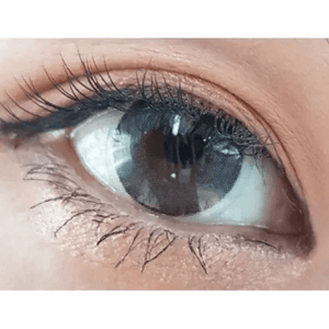 LensTown Comfit Gray - Idol Karakon