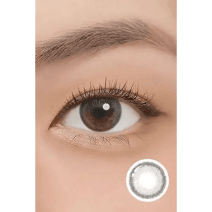 LensTown Cookiean2 Charcoal Gray - Idol Karakon