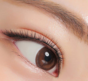 ダリ ブラウン トーリック(乱視用) Dali Brown Toric - Idol Karakon