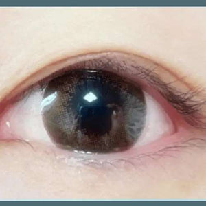 Dali Extra Brown Toric - Idol Karakon