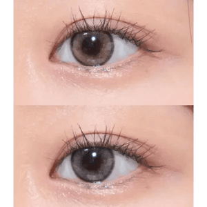 LensVery Day Ring Gray - Idol Karakon