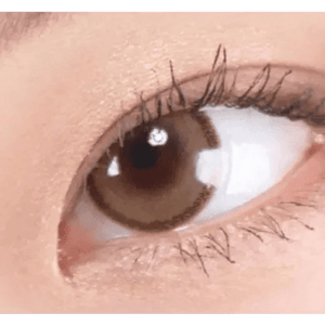 LensRang DayLook 1Day Brown (5p) - Idol Karakon