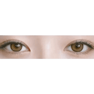 LensRang DayLook 1Day Brown (5p) - Idol Karakon