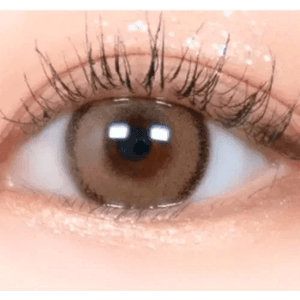 LensRang DayLook 1Day Brown (5p) - Idol Karakon