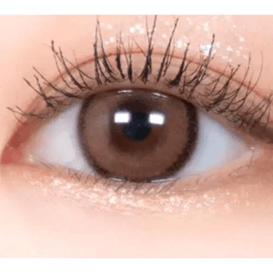 LensRang DayLook 1Day Choco (5p) - Idol Karakon