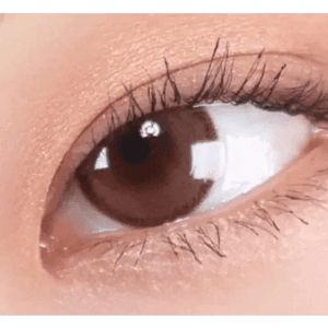 LensRang DayLook 1Day Choco (5p) - Idol Karakon