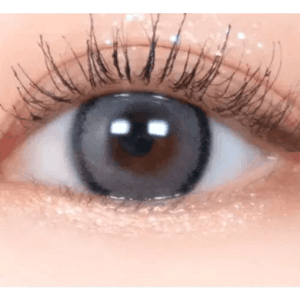 LensRang DayLook 1Day Gray (5p) - Idol Karakon