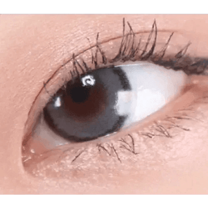 LensRang DayLook 1Day Gray (5p) - Idol Karakon