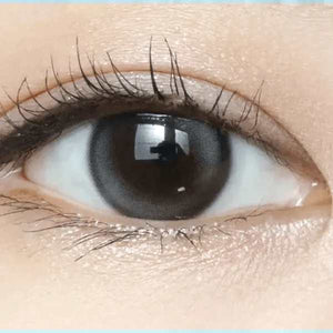 Olens Double Tint 1Day Gray (20p) - Idol Karakon