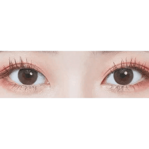 LensTown Elly Basic Brown - Idol Karakon