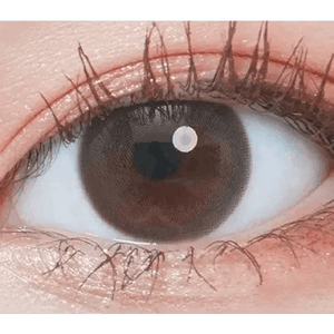 LensTown Elly Basic Brown - Idol Karakon