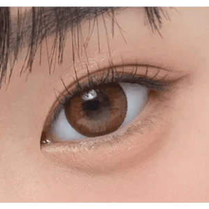 Olens Ever Shine 1Day Brown (20p) - Idol Karakon