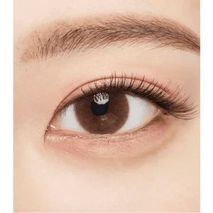 Olens Falling Brown - Idol Karakon