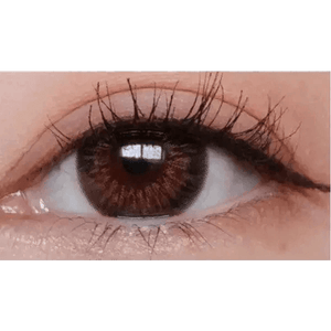 LensTown Fancia Gold Brown - Idol Karakon