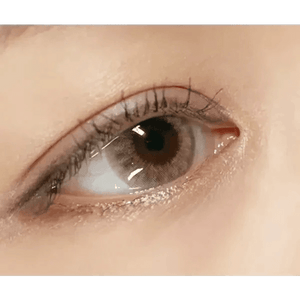 LensTown Holdnight Brown - Idol Karakon