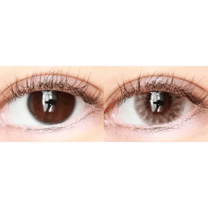 LensTown Holdnight Brown - Idol Karakon