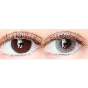 LensTown Holdnight Gray - Idol Karakon