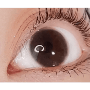 LensVery Honey U Choco - Idol Karakon