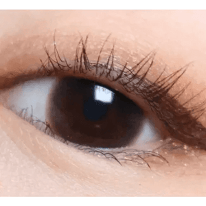 LensVery Honey U Choco - Idol Karakon