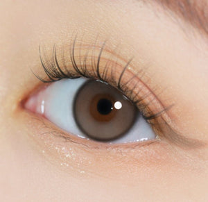 i - DOL Earl Gray 1Day 10枚入 - Idol Karakon