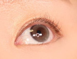 i - DOL Earl Gray 1Day 10枚入 - Idol Karakon