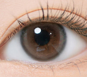 アイズ アッシュブラウン 1枚入 — EYEIS Ash Brown - Idol Karakon