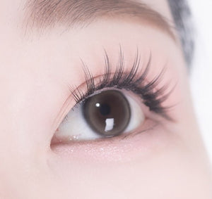 アイズ アッシュブラウン 1枚入 — EYEIS Ash Brown - Idol Karakon