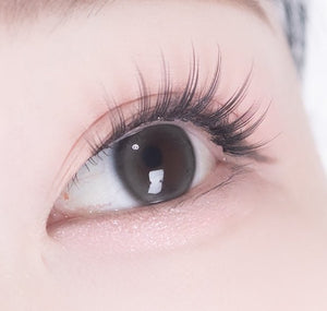 アイズ エッセンシャルグレー 1枚入 — EYEIS Essential Gray - Idol Karakon