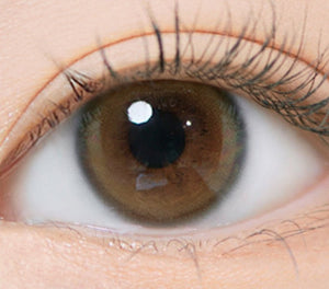 i - DOL Eyeis Melo Brown 1枚入 - Idol Karakon