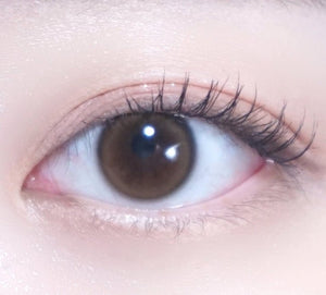 アイズ メロブラウン 1枚入 — EYEIS Melo Brown - Idol Karakon