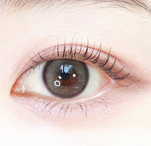 i - DOL Yurial Earl Gray 1Day 10枚入 - Idol Karakon