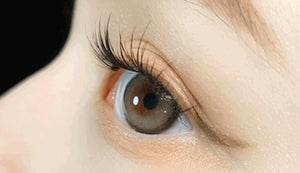 ユリアル マックス アールグレー 1枚入 — YURIAL Max Earl Gray - Idol Karakon