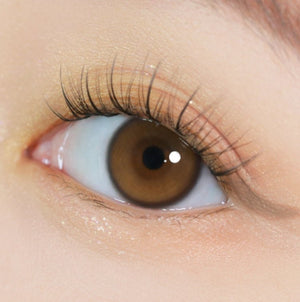 ユリアル ワンデー ウォーターブラウン 10枚入 — YURIAL Water Brown 1Day (10p) - Idol Karakon