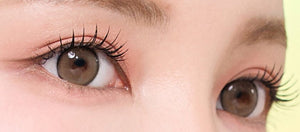 Dekame Hug Me Taupe Choco DEKAME ハグミー トープ *公式は「トープ」表記。 - Idol Karakon