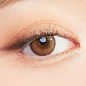 Molton Amber Brown (10p) オリアナモルトン ワンデー アンバーブラウン - Idol Karakon