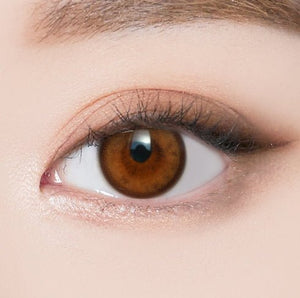 Molton Amber Brown (10p) オリアナモルトン ワンデー アンバーブラウン - Idol Karakon